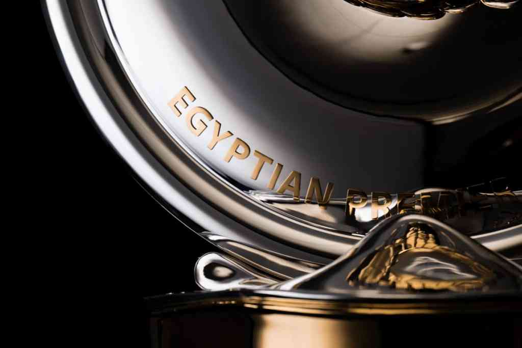 Egyptian Premier League Case Study