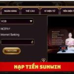 Sunwin Payment Methods