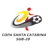 Copa Santa Catarina