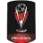 Piala Presiden
