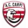 Athletic Carpi